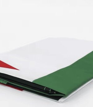 Q-SY® - Syrië Vlag Revolutie 3 Sterren - Hoge Kwaliteit - 90x150 cm - Afbeelding 4
