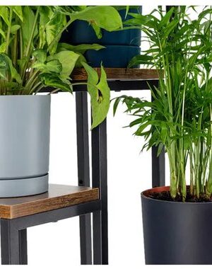 Plantenrek Binnen – 4 Lagen – Metaal/Hout - Afbeelding 5