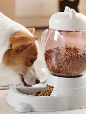 Huisdierenvoeder - Voedseldispenser - Hondenvoerbak - Kattenvoerbak - Waterdispenser hond - Katten drinkfontein - Automatische voerbak - Voer- en drinkbak - Afbeelding 9