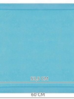 Absorberende Bed Onderleggers 60x45 cm Waterproof Wegwerp Matrasbeschermers Puppy Honden Katten 50 Stuks Blauw - Afbeelding 5