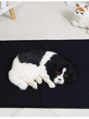 Herbruikbare Hondenmat & Kattenmat 50x70 cm Absorberend Wasbaar Antislip Zwart - Afbeelding 4
