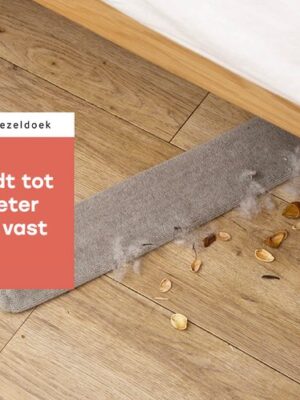 Plumeau uitschuifbaar - Lange Radiatorborstel - Stofborstel met steel - Afneembare microvezeldoekjes - Afbeelding 7