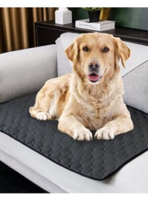 Herbruikbare Hondenmat & Kattenmat 50x70 cm Absorberend Wasbaar Antislip Zwart - Afbeelding 8