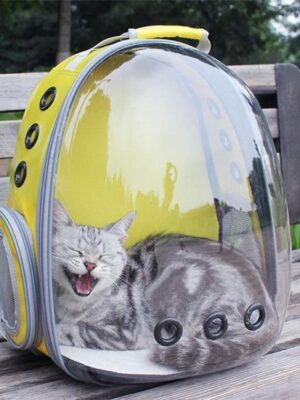 Huisdier rugtas - backpack pet - kattenrugzak - draagtas - reismand - vervoersbox (ZWART) - Afbeelding 3