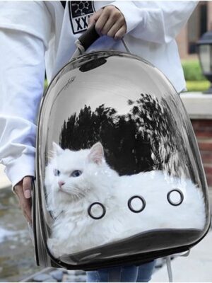 Hondenrugzak - Hondentas - Draagzak Hond - Hondendraagtas - Katten Rugzak - Reistas Kat - Transporttas huisdier - Tot 10 kg - Zwart - Afbeelding 9