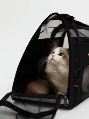 Draagtas Hond Kat - Huisdier reistas - dierenvervoer tas - Dieren Transporttas met Ventilatie - Verstevigd - Schouderriem & Handvat - Tot 8kg - Zwart - Afbeelding 6