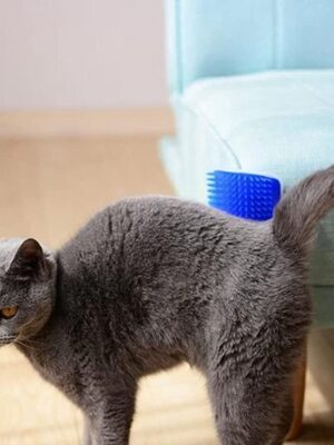 2x Katten Hoekborstel - Haarverwijdering Borstel - Self Groomer - Katten Massageborstel - Kat Borstel - Kat Speelgoed - 2 stuks - Grijs - Afbeelding 8