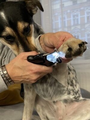 Nagelknipper hond kat LED - Veilig Dieren Nagelschaartje - RVS Bladen - Anti-Slip Greep - Vijl & Claw Catcher - Inclusief Batterijen - met verlichting - Afbeelding 10