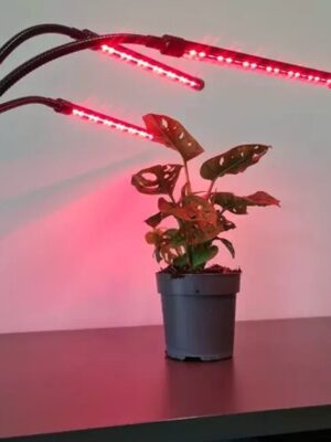 LED Groeilamp Full Spectrum – 11W – Timer - Afbeelding 7