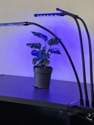 LED Groeilamp Full Spectrum – 11W – Timer - Afbeelding 11