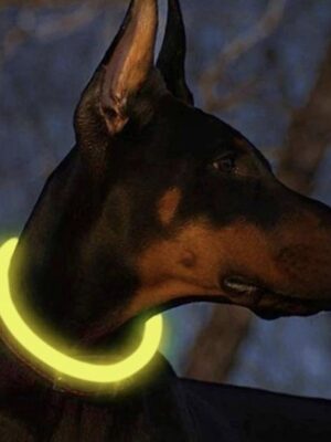 LED Halsband Hond & Kat – USB Oplaadbaar – 3 Lichtstanden – Op Maat te Knippen – 70cm – Waterbestendig & Veilig – Geel – Huisdier Reflectieband - Afbeelding 3