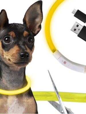 LED Halsband Hond & Kat – USB Oplaadbaar – 3 Lichtstanden – Op Maat te Knippen – 70cm – Waterbestendig & Veilig – Geel – Huisdier Reflectieband - Afbeelding 4