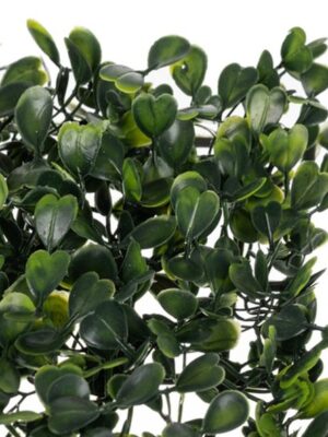 Kunsthaag Boxwood - 60x40 cm - Tuinscherm - Dichte Kunsthaag Panelen - Weerbestendig - Zichtbreeknet - Wanddecoratie - Voor buiten - 3 cm Dik - Groen - 1 Stuk - Afbeelding 8
