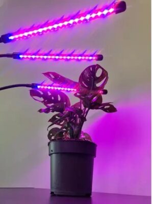 LED Groeilamp Full Spectrum – 11W – Timer - Afbeelding 3