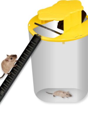 Muizenval - Muizenverjager - Muizenval emmer - Muizenvallen voor binnen en buiten - Muizenvallen - Rattenval - Let op! zonder emmer - Afbeelding 3